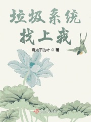 垃圾系统找上我在线阅读