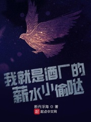 我就是酒厂的薪水小偷哒在线阅读
