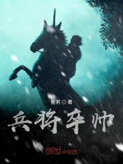 兵将卒帅在线阅读