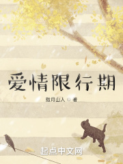 爱情限行期在线阅读