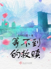 等不到的救赎在线阅读