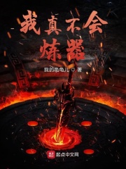 我真不会炼器在线阅读