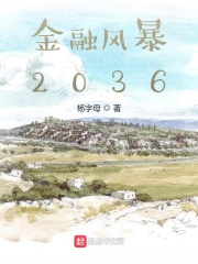 金融风暴2036在线阅读