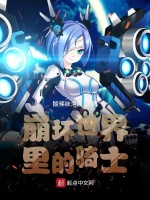 崩坏世界里的骑士封面
