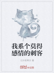 我系个莫得感情的刺客在线阅读