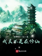 我真不是在修仙在线阅读