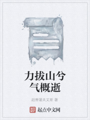 力拔山兮气概逝在线阅读