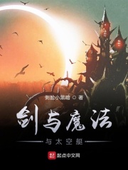 剑与魔法与太空艇在线阅读