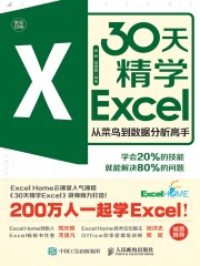 30天精学Excel：从菜鸟到数据分析高手