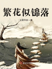 繁花似锦落在线阅读
