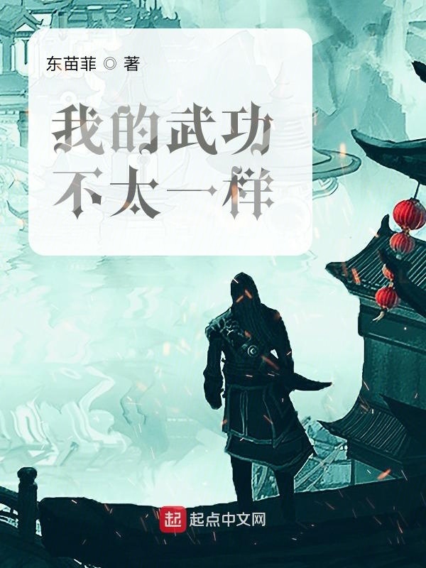 我的武功不太一样在线阅读