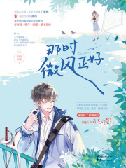 那时微风正好