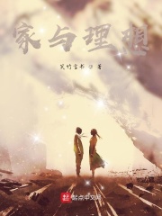 家与理想