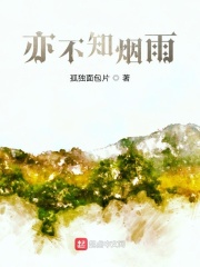 亦不知烟雨在线阅读