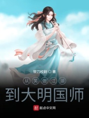 从笑傲江湖到大明国师在线阅读