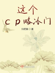 这个cp略冷门在线阅读