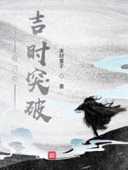 我只在吉时突破在线阅读
