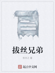 拔丝兄弟在线阅读