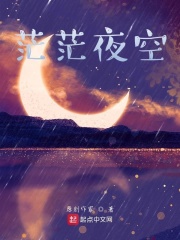 茫茫夜空在线阅读
