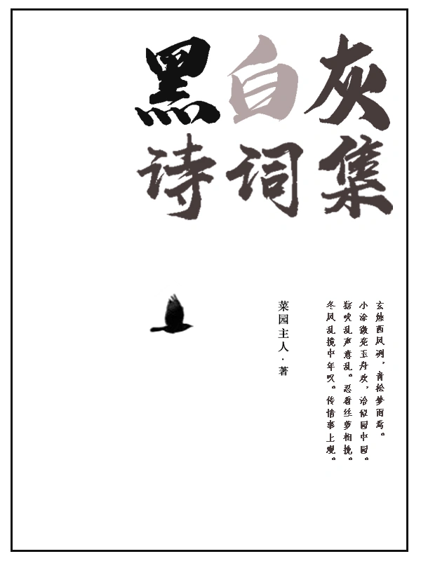 黑白灰诗词集