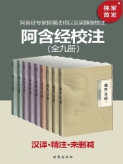 阿含经校注（全9册）