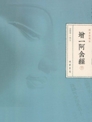 增一阿含经（下册）