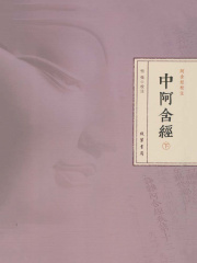 中阿含经（下册）