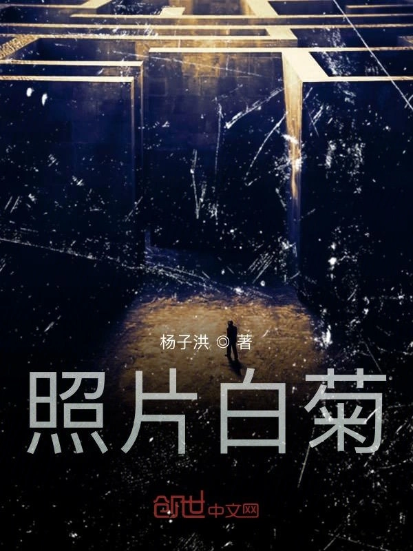 照片白菊