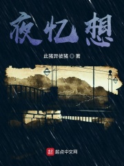 夜忆想在线阅读
