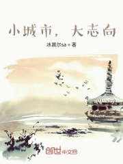 小城市，大志向在线阅读