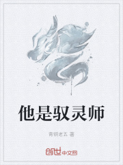 他是驭灵师在线阅读