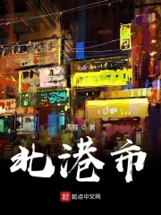 北港市在线阅读