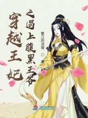 穿越王妃之遇上腹黑王爷