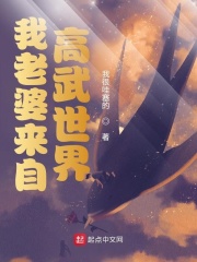 我老婆来自高武世界（秦风、小冷芊芊）