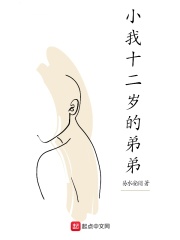 小我十二岁的弟弟在线阅读