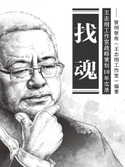 找魂：王志纲工作室战略策划10年实录