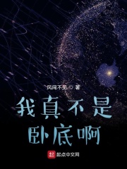 我真不是卧底啊在线阅读