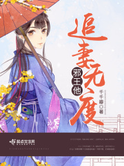邪王他追妻无度在线阅读