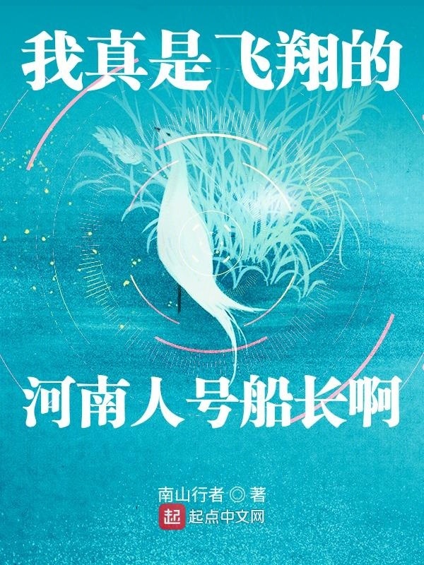 我真是飞翔的河南人号船长啊在线阅读