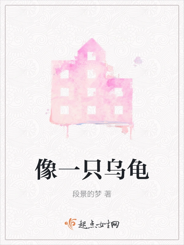 像一只乌龟