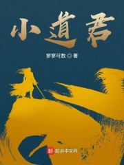 小道君在线阅读