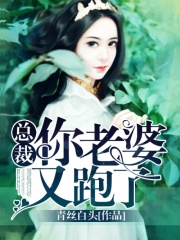 总裁你老婆又跑了