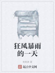 狂风暴雨的一天