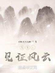 霹雳之见证风云在线阅读