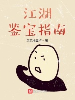 江湖鉴宝指南在线阅读