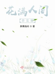 花满人间亦见我在线阅读