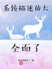 系统描述的太全面了