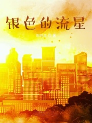 银色的流星