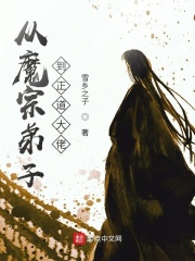 从魔宗弟子到正道大佬在线阅读