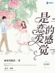 是恋爱的感觉在线阅读